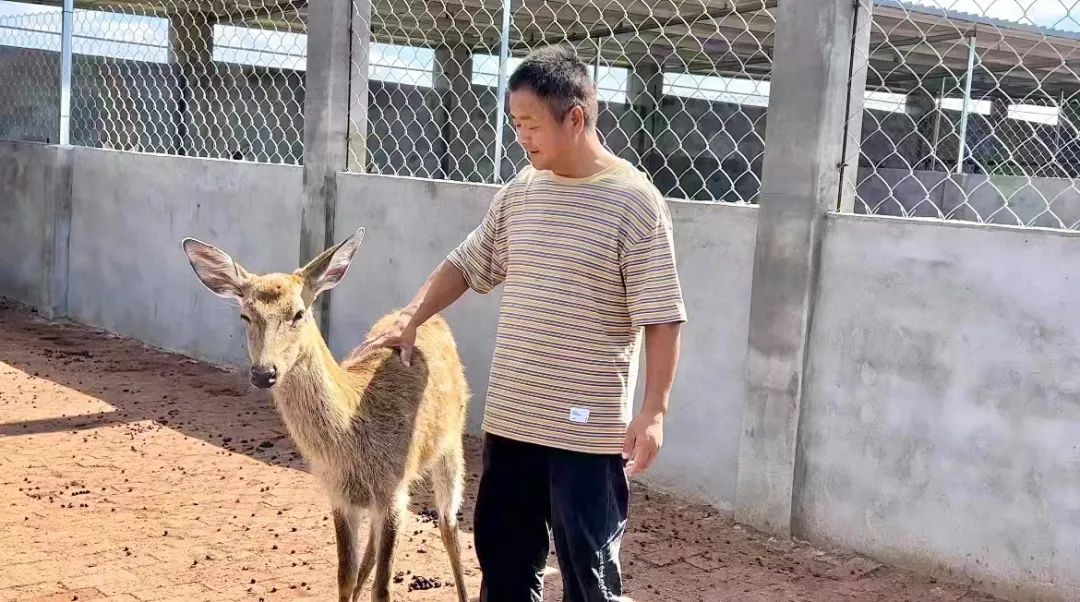 每日首充送彩金的平台